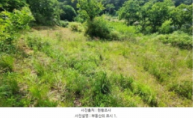 2025타경11867 울산광역시 울주군 범서읍 구영리 594-2 농지 경매 이미지