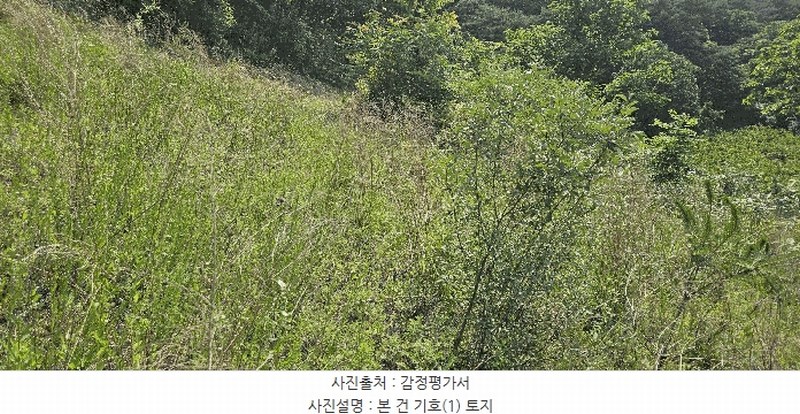 2025타경11867 울산광역시 울주군 범서읍 구영리 594-2 농지 경매 이미지