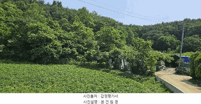 2025타경11867 울산광역시 울주군 범서읍 구영리 594-2 농지 경매 이미지