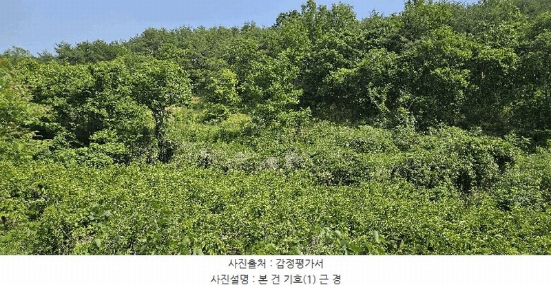 2025타경11867 울산광역시 울주군 범서읍 구영리 594-2 농지 경매 이미지
