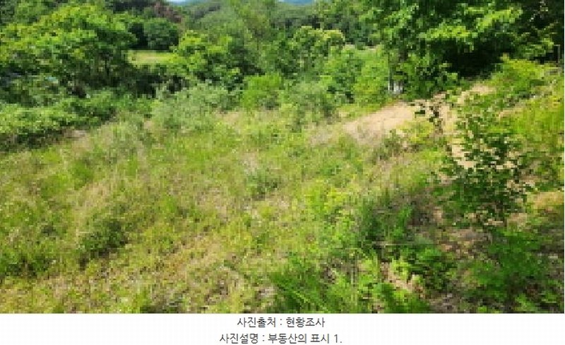 2025타경11867 울산광역시 울주군 범서읍 구영리 594-2 농지 경매 이미지