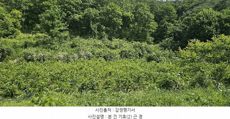 2025타경11867 울산광역시 울주군 범서읍 구영리 594-2 농지 경매 이미지