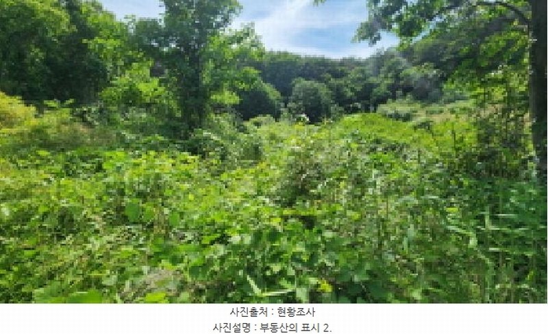2025타경11867 울산광역시 울주군 범서읍 구영리 594-2 농지 경매 이미지