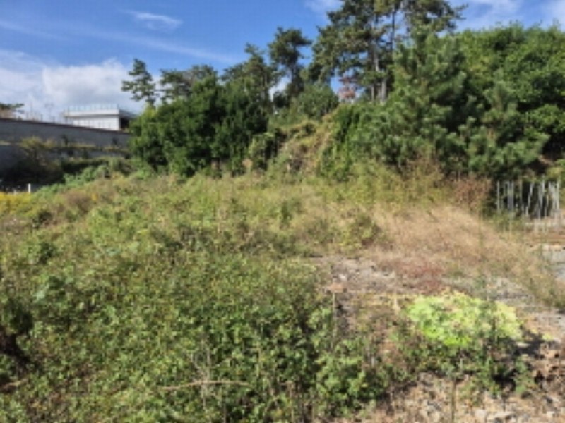 2024타경8456 울산광역시 울주군 서생면 대송리 412-1 농지 경매 이미지