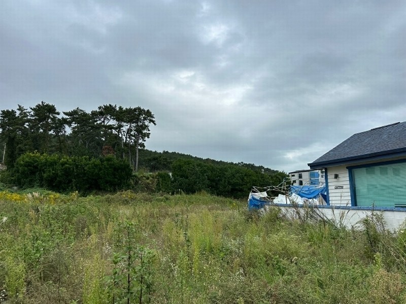 2024타경8456 울산광역시 울주군 서생면 대송리 412-1 농지 경매 이미지
