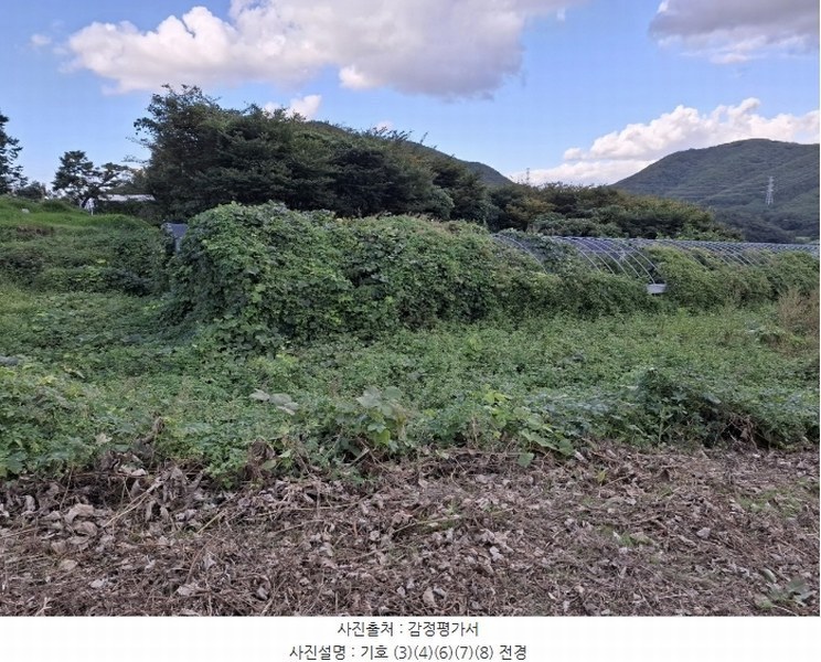 2024타경116098 울산광역시 울주군 두서면 미호리 640 농지 경매 이미지