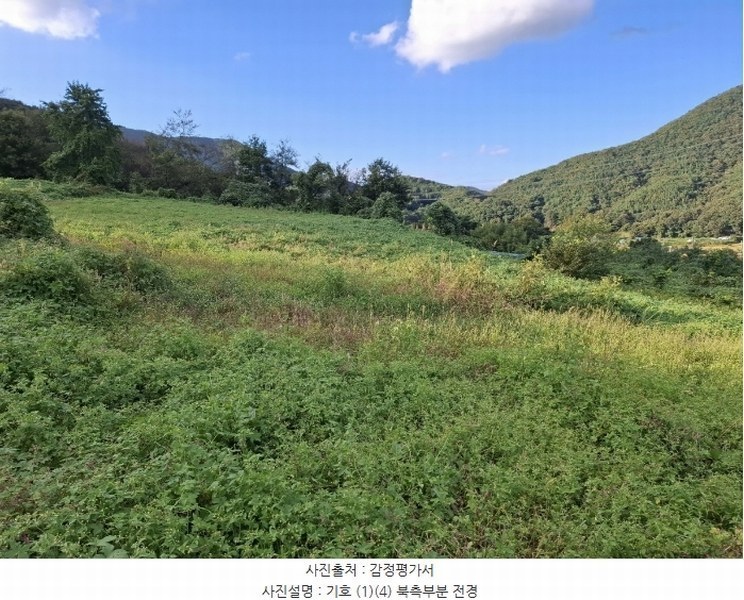 2024타경116098 울산광역시 울주군 두서면 미호리 640 농지 경매 이미지