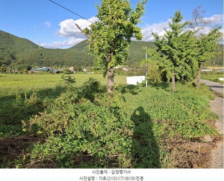 2024타경116098 울산광역시 울주군 두서면 미호리 640 농지 경매 이미지