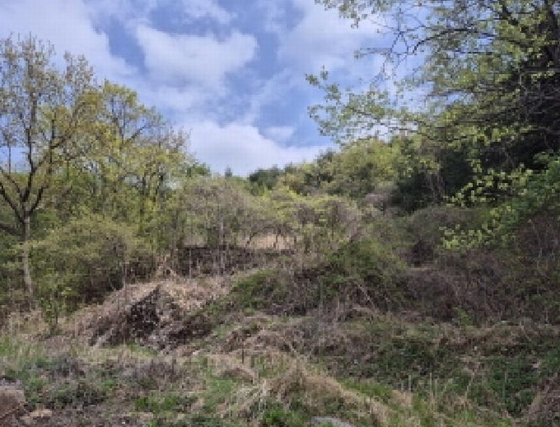 2025타경1022 울산광역시 울주군 온양읍 내광리 491 농지 경매 이미지
