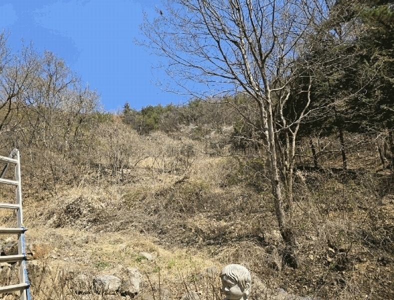 2025타경1022 울산광역시 울주군 온양읍 내광리 491 농지 경매 이미지