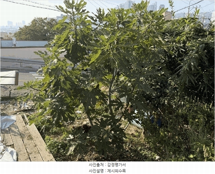 2025타경11357 경상남도 김해시 지내동 413 농지 경매 이미지