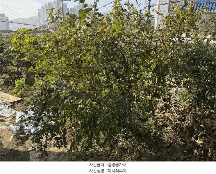2025타경11357 경상남도 김해시 지내동 413 농지 경매 이미지