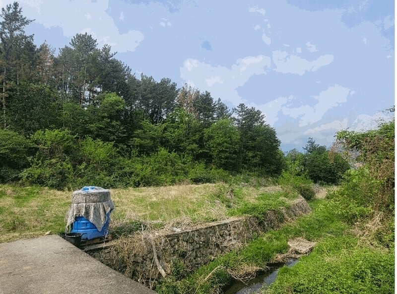 2025타경11643 울산광역시 울주군 언양읍 직동리 264 농지 경매 이미지
