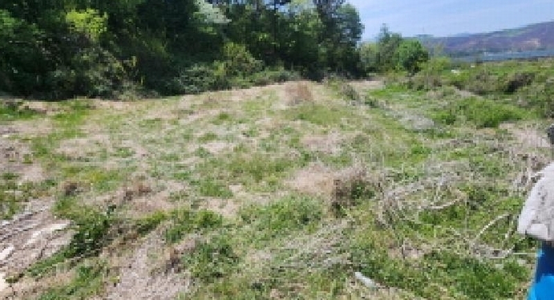 2025타경11643 울산광역시 울주군 언양읍 직동리 264 농지 경매 이미지