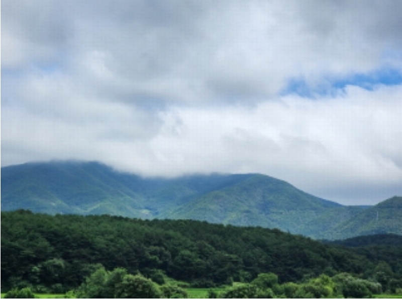2023타경109512 울산광역시 울주군 두서면 서하리 산105 임야 경매 이미지