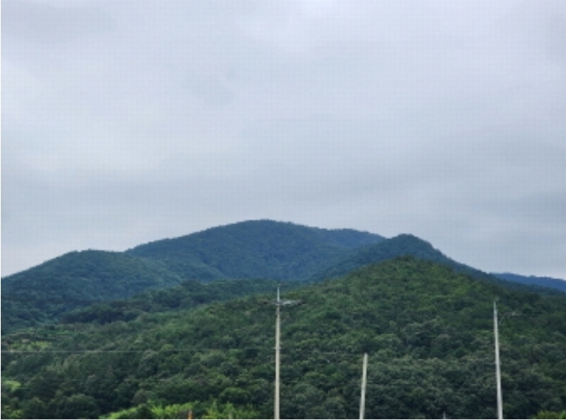 2023타경109512 울산광역시 울주군 두서면 서하리 산105 임야 경매 이미지