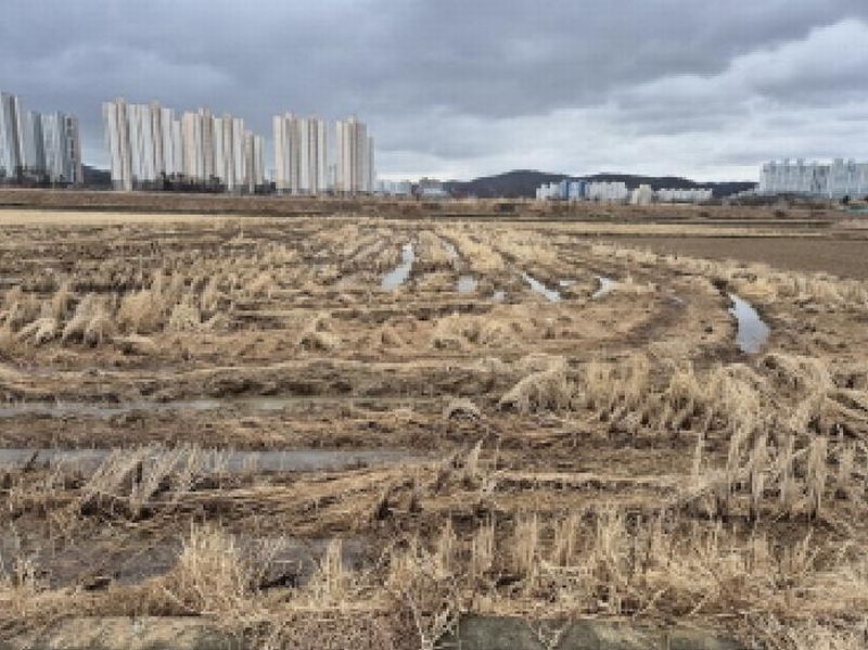 2025타경929 울산광역시 울주군 온양읍 동상리 719-20 농지 경매 이미지