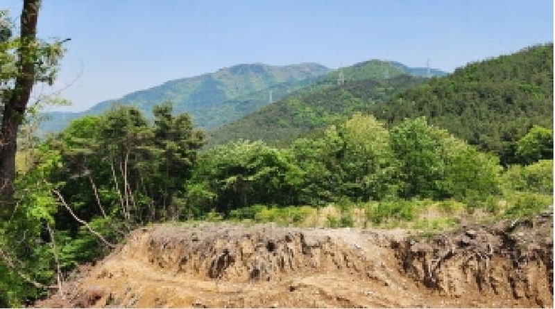 2025타경1071 울산광역시 울주군 두동면 만화리 산162-7 임야 경매 이미지