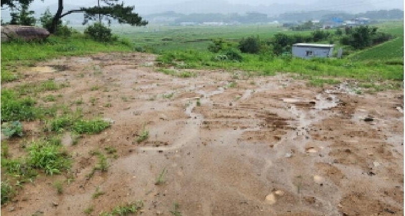 2025타경1169 울산광역시 울주군 웅촌면 은현리 1279 농지 경매 이미지