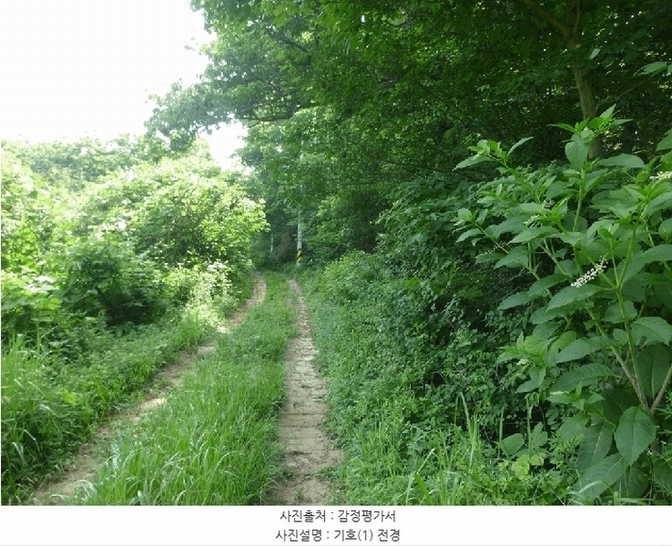 2025타경1206 경상남도 양산시 상북면 내석리 산108 임야 경매 이미지