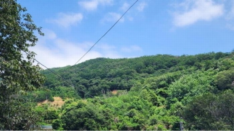 2025타경1206 경상남도 양산시 상북면 내석리 산108 임야 경매 이미지