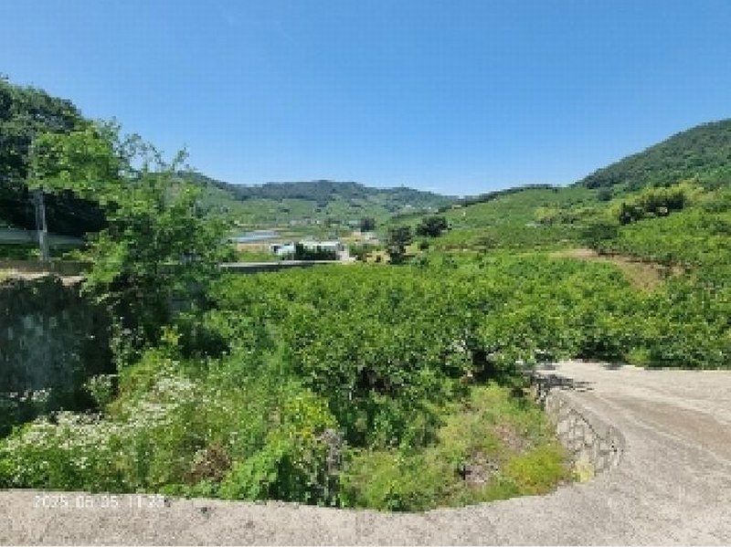 2025타경11561 경상남도 창원시 의창구 북면 외산리 539 농지 경매 이미지