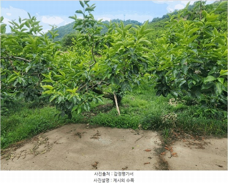 2025타경11561 경상남도 창원시 의창구 북면 외산리 539 농지 경매 이미지
