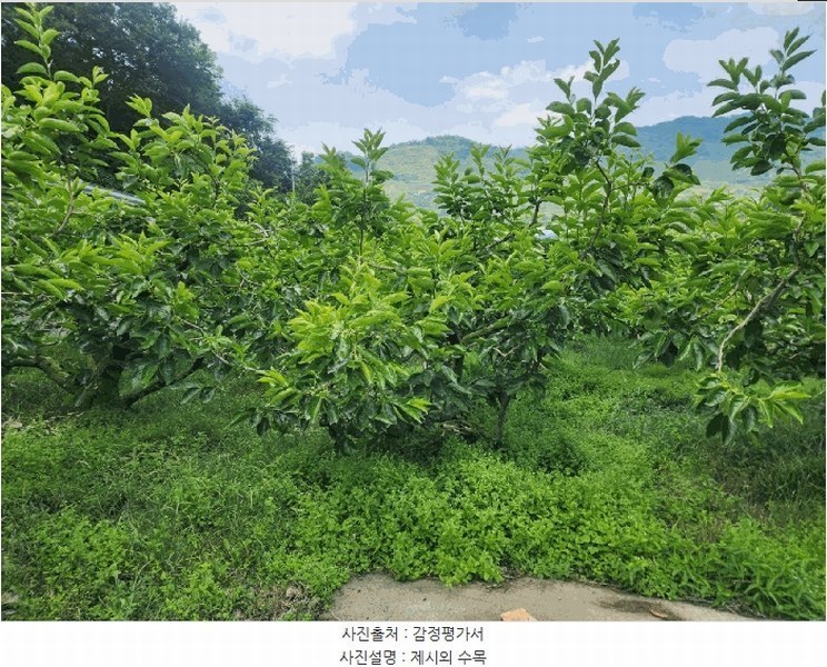 2025타경11561 경상남도 창원시 의창구 북면 외산리 539 농지 경매 이미지