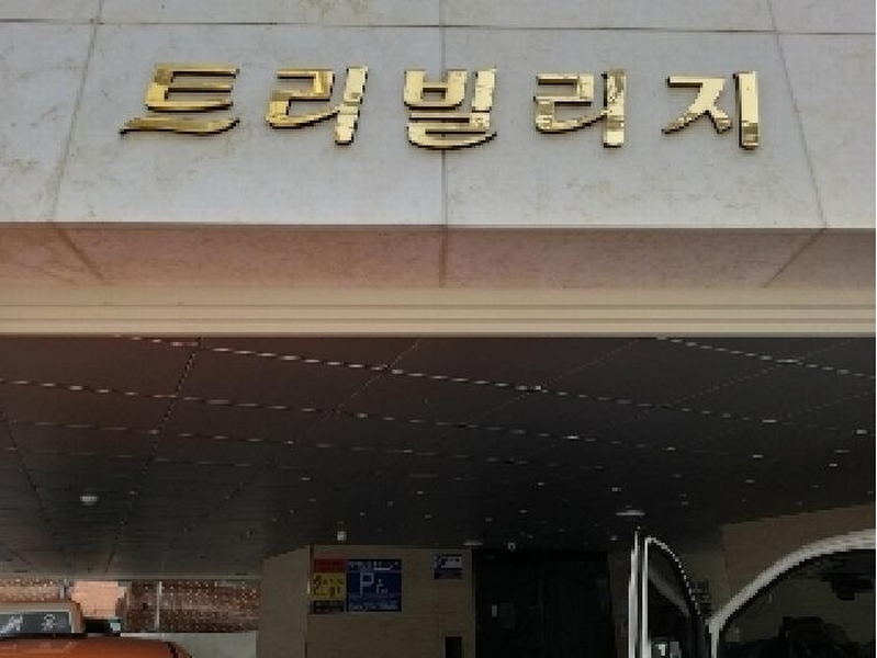 2025타경8934 서울특별시 강서구 강서로41길 63, 트리빌리지 2층 203호 다세대(빌라) 경매 이미지