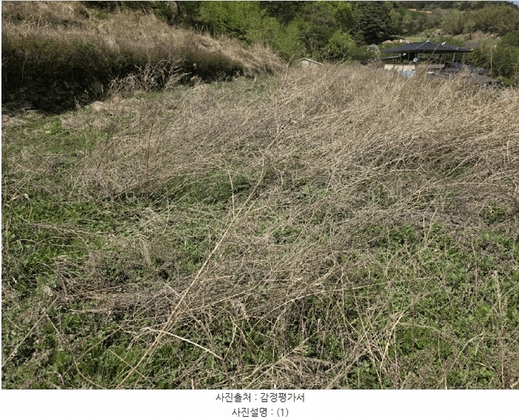 2025타경11610 울산광역시 울주군 두서면 전읍리 1160 농지 경매 이미지