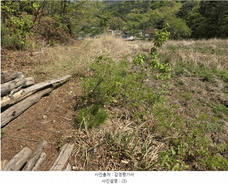 2025타경11610 울산광역시 울주군 두서면 전읍리 1160 농지 경매 이미지