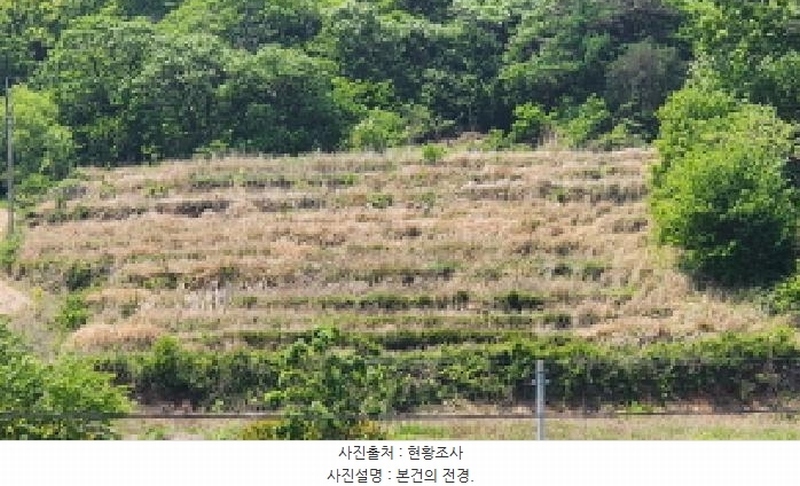 2025타경11610 울산광역시 울주군 두서면 전읍리 1160 농지 경매 이미지