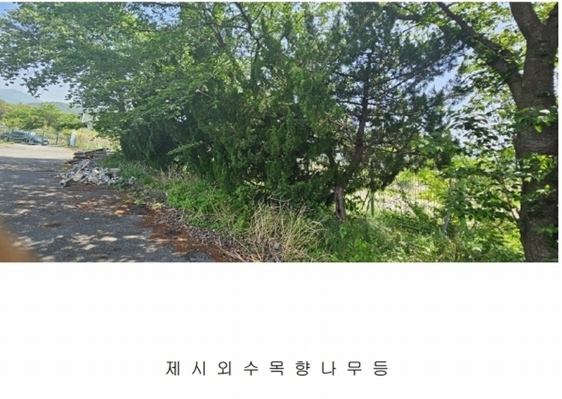 2025타경11664 울산광역시 울주군 웅촌면 곡천리 1-6 창고 경매 이미지