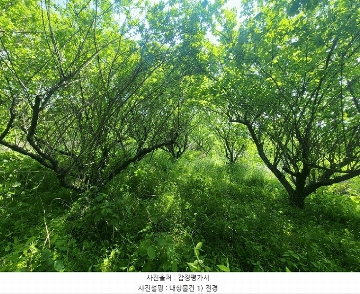 2025타경11690 경상남도 양산시 중부동 53 농지 경매 이미지
