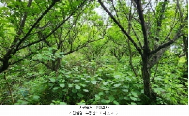 2025타경11690 경상남도 양산시 중부동 53 농지 경매 이미지