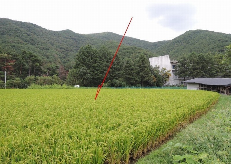 2025타경12438 울산광역시 울주군 범서읍 척과리 386-4 농지 경매 이미지