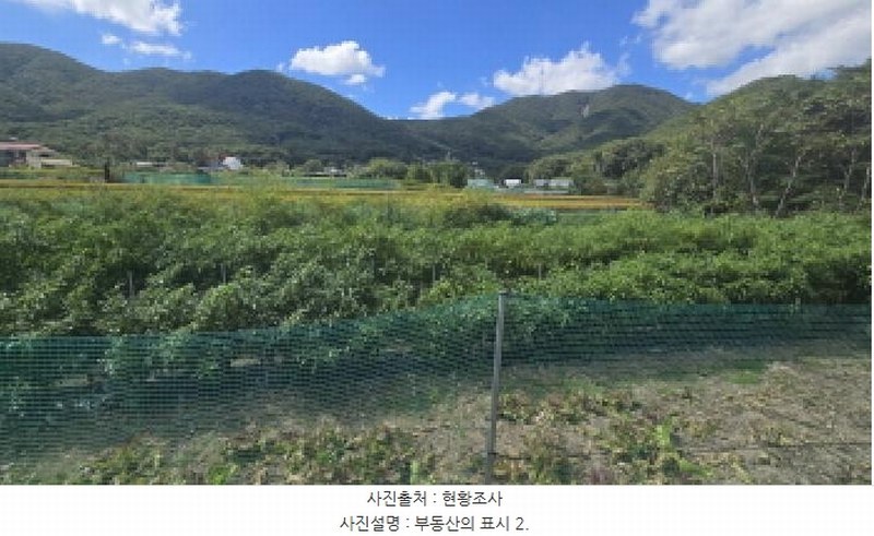 2025타경12438 울산광역시 울주군 범서읍 척과리 386-4 농지 경매 이미지
