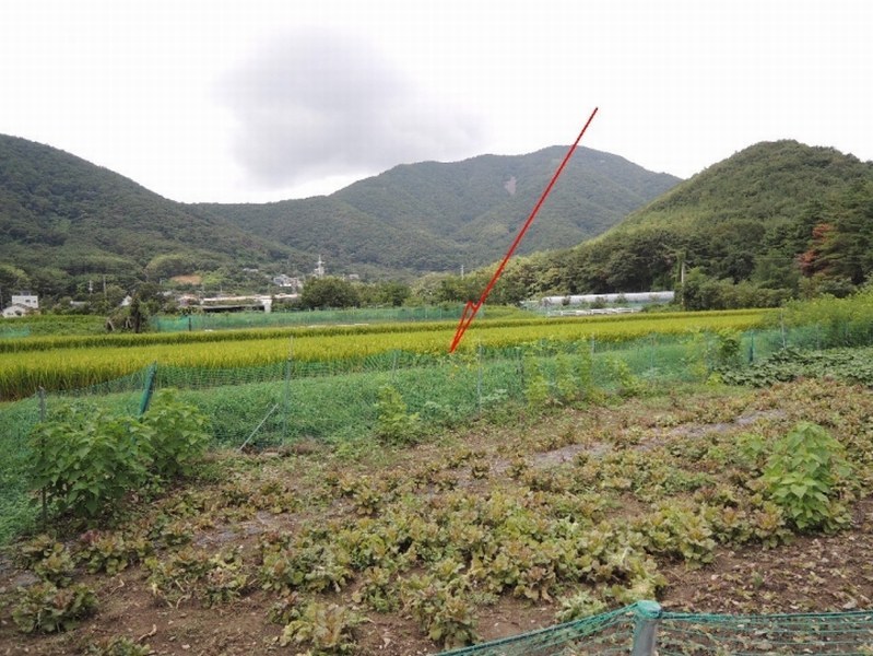 2025타경12438 울산광역시 울주군 범서읍 척과리 386-4 농지 경매 이미지