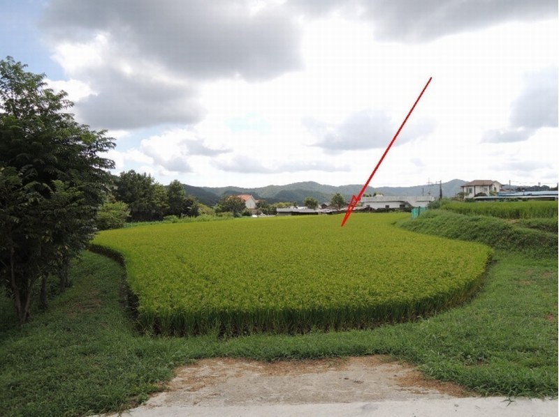 2025타경12438 울산광역시 울주군 범서읍 척과리 386-4 농지 경매 이미지