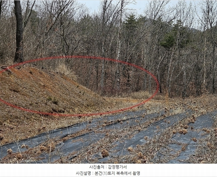 2024타경797 울산광역시 울주군 온양읍 고산리 63-2 농지 경매 이미지