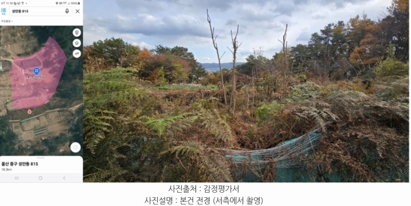 2024타경103368 울산광역시 중구 성안동 815 농지 경매 이미지