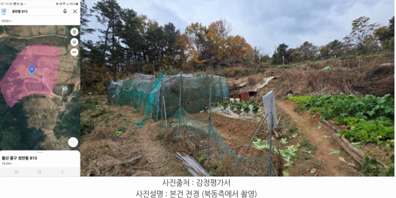 2024타경103368 울산광역시 중구 성안동 815 농지 경매 이미지