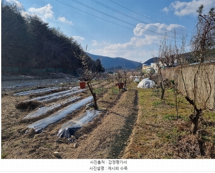 2024타경104002 울산광역시 울주군 범서읍 척과리 749-8 농지 경매 이미지