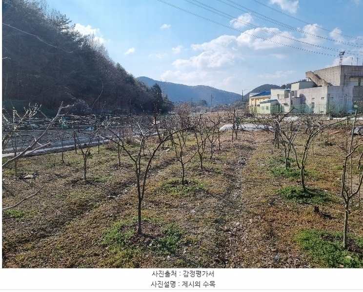 2024타경104002 울산광역시 울주군 범서읍 척과리 749-8 농지 경매 이미지