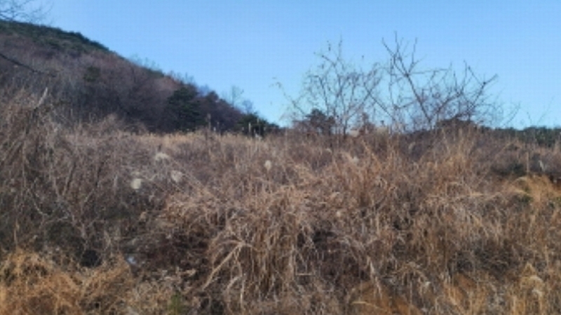 2024타경119936 울산광역시 울주군 삼남읍 방기리 752-2 농지 경매 이미지