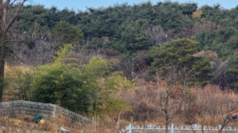 2024타경119936 울산광역시 울주군 삼남읍 방기리 752-2 농지 경매 이미지