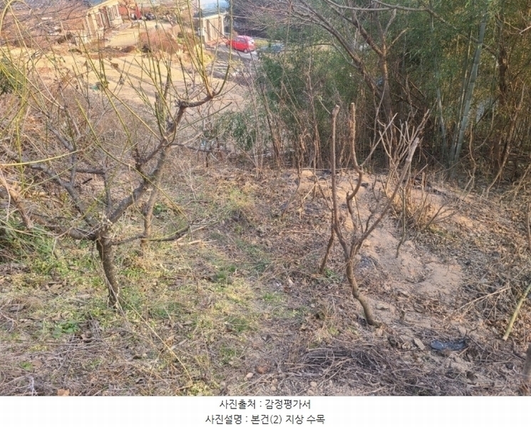 2024타경120721 울산광역시 중구 약사동 154 농지 경매 이미지