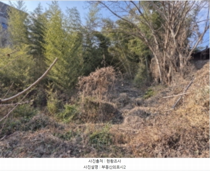 2024타경120721 울산광역시 중구 약사동 154 농지 경매 이미지