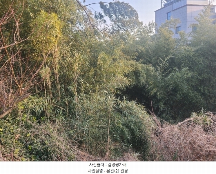 2024타경120721 울산광역시 중구 약사동 154 농지 경매 이미지