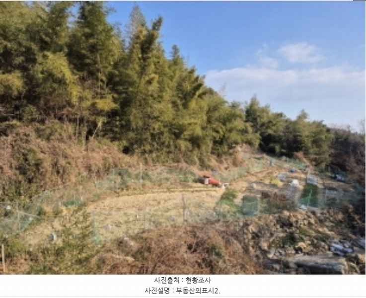 2024타경120721 울산광역시 중구 약사동 154 농지 경매 이미지